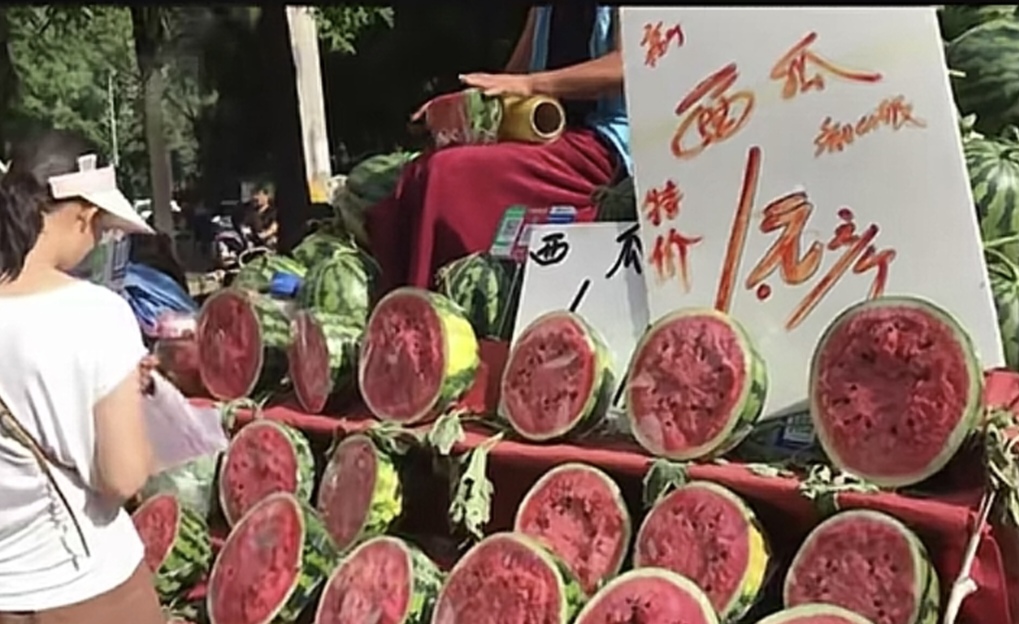 吃瓜的人(吃瓜的人聪明还是笨)