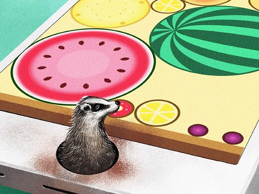 吃瓜的猹(吃瓜的猹是什么意思)