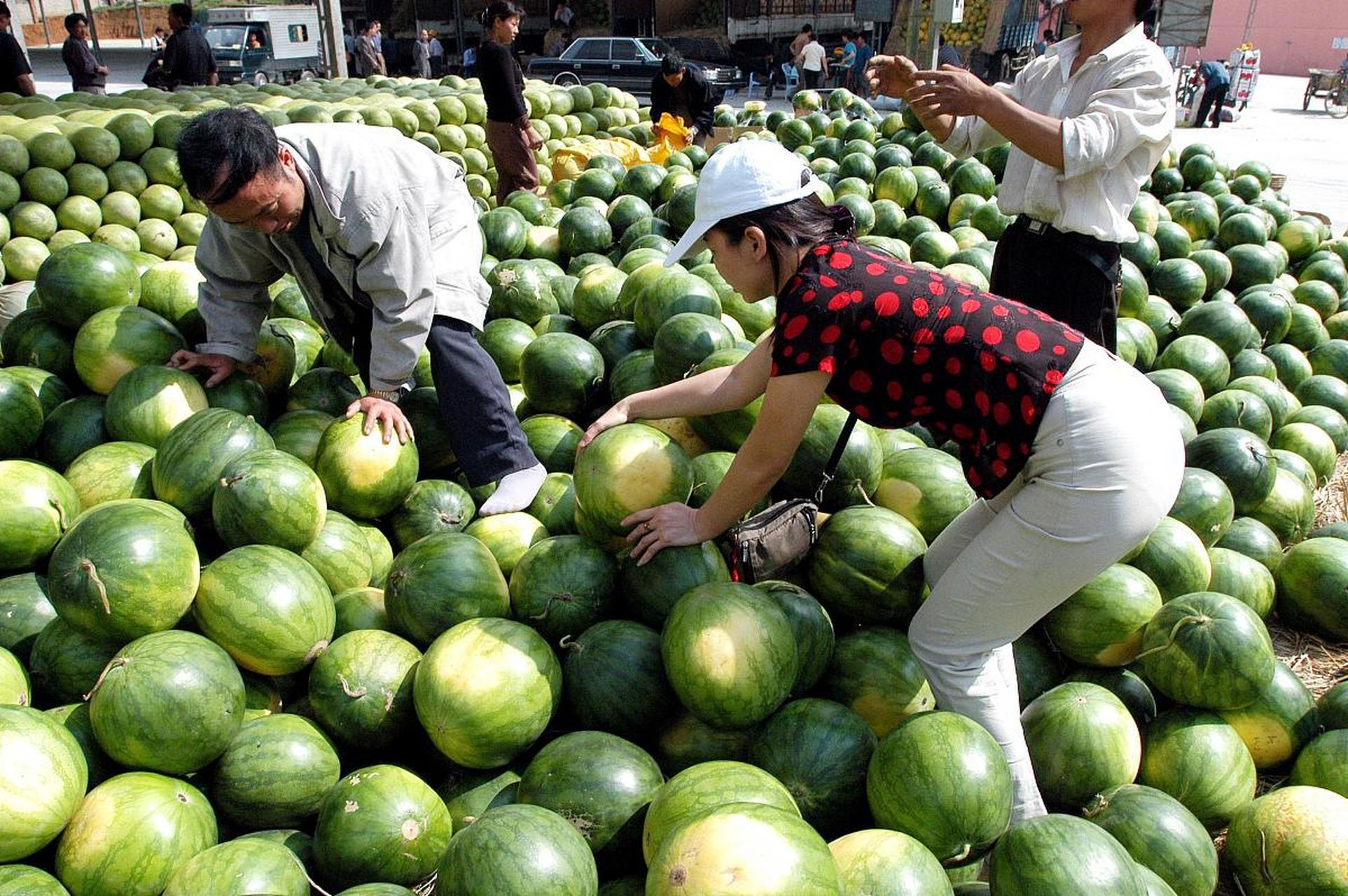 各种吃瓜事件(吃瓜事件是什么意思) 各种吃瓜事件(吃瓜事件是什么意思)