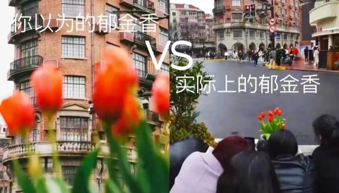 每日大赛网红反差大赛规则(网络上的反差女)