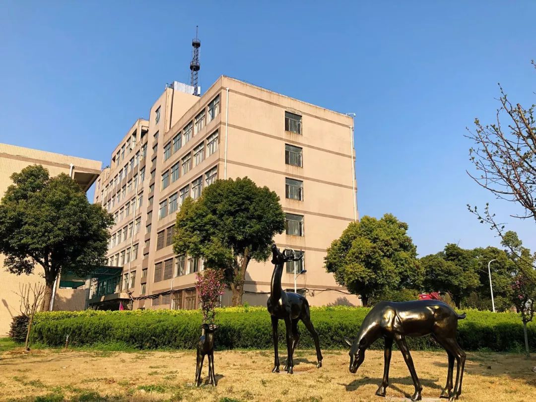 r星校园反差大赛获奖作品(R星每日大赛合集) r星校园反差大赛获奖作品(R星每日大赛合集)