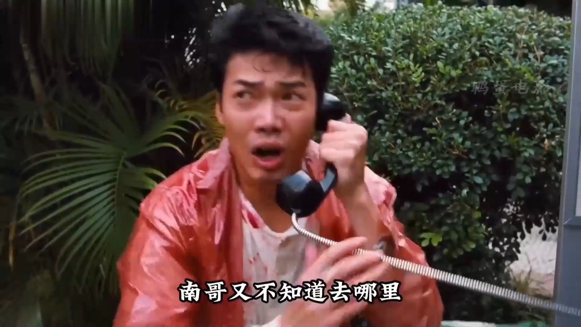 每日大赛吃瓜聚集陈浩南古惑仔(古惑仔陈浩南说的话)