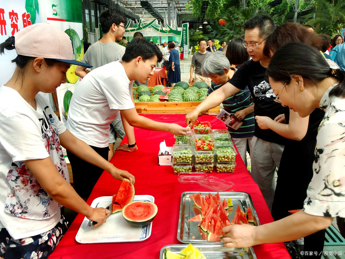 吃瓜大赛在线爆料聚集(吃瓜大赛图片)