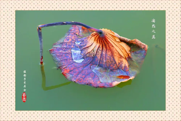 每日大赛反差大赛优秀作品展示(反差问答)