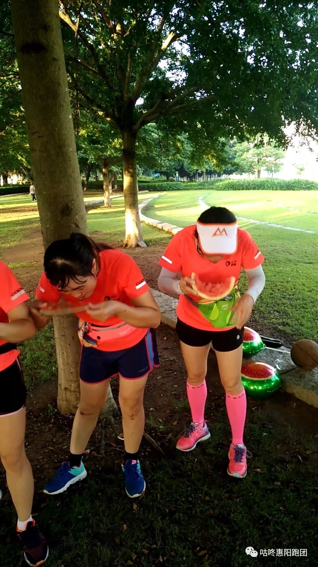 包含吃瓜校园大赛最新视频下载的词条