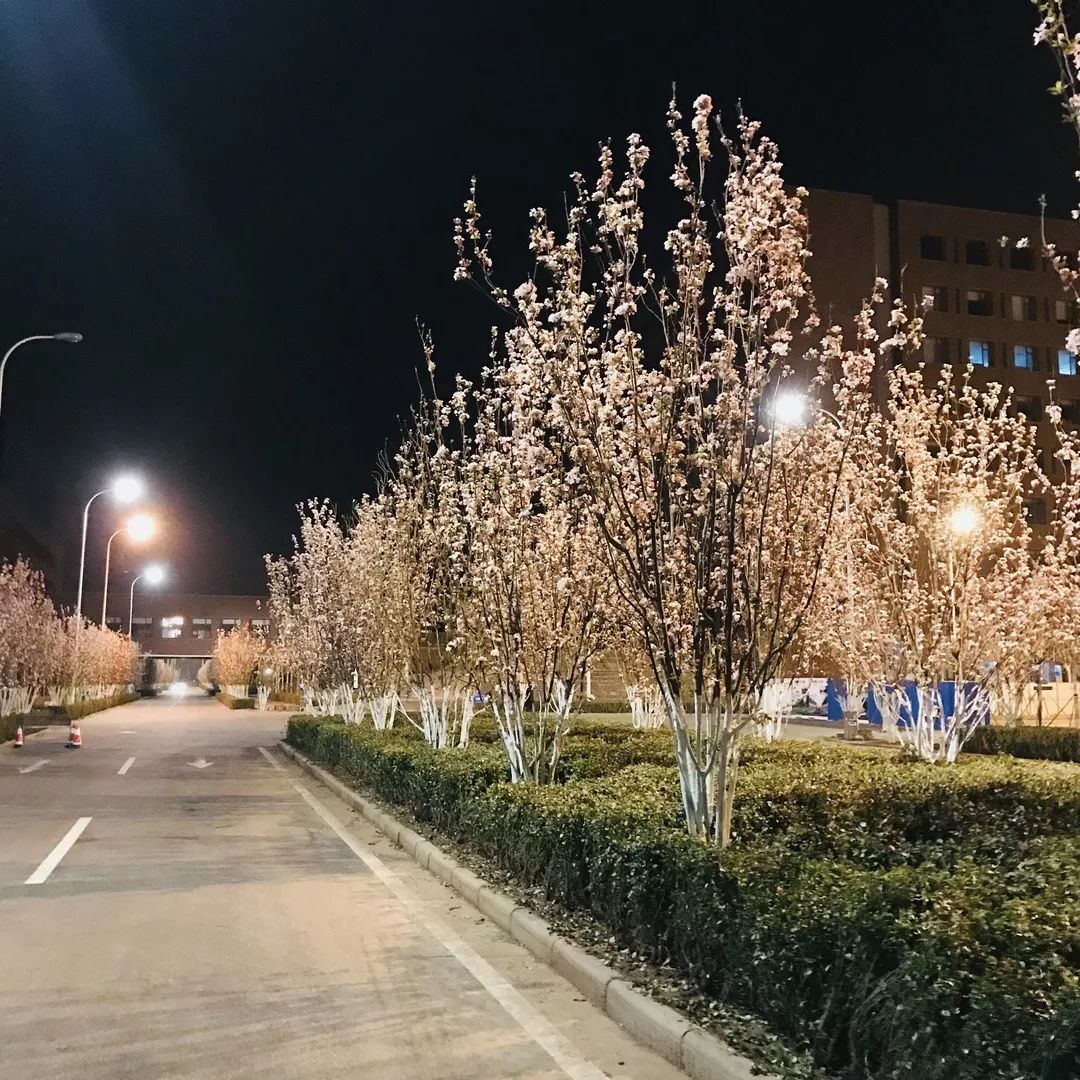 校园反差大赛作品展示(校园反差大赛作品展示方案) 校园反差大赛作品展示(校园反差大赛作品展示方案)