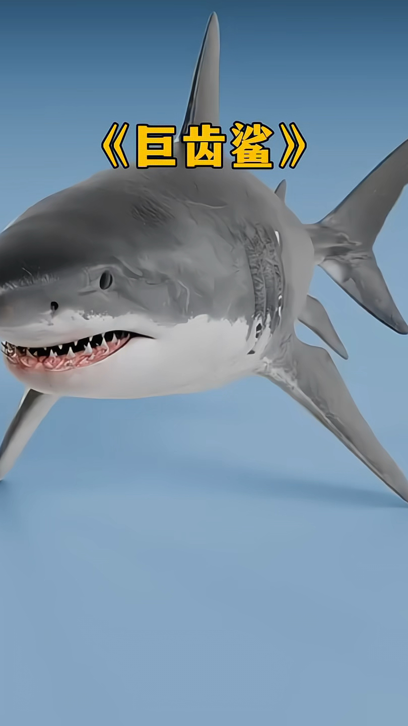 大赛沙有多强(大赛沙vs大洛基安)