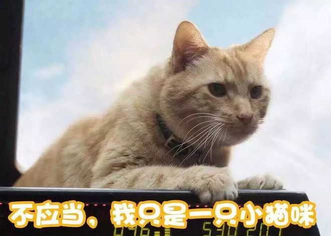 吃瓜者联盟(吃瓜英雄)