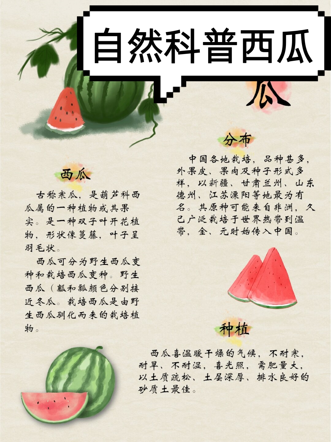 吃瓜唠啥意思(吃瓜是什么意思啊内涵)