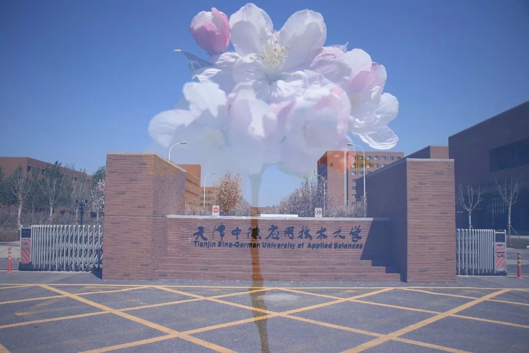 校园大赛今日大赛结果(校园大赛海报)