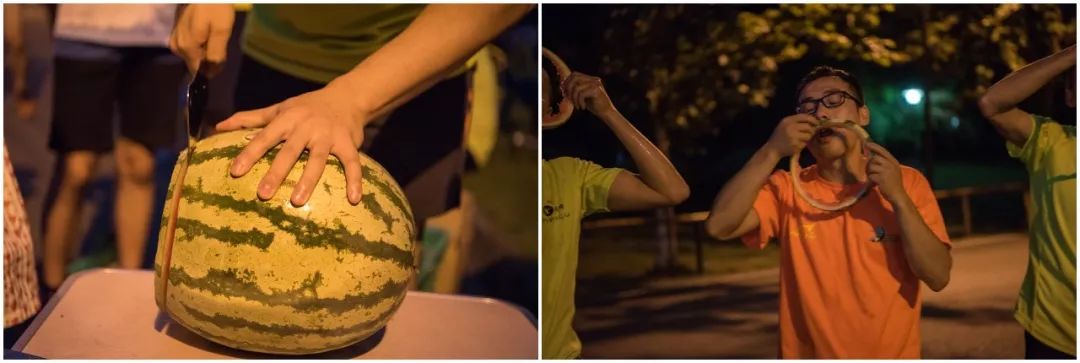 吃瓜小组(吃瓜小分队是什么意思)