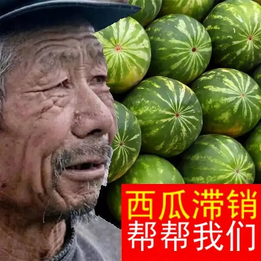 吃瓜蒙主是谁(吃瓜事件是什么意思)
